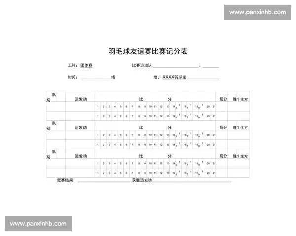 羽毛球比赛中常见的比分规则与计分方式解析及应用技巧