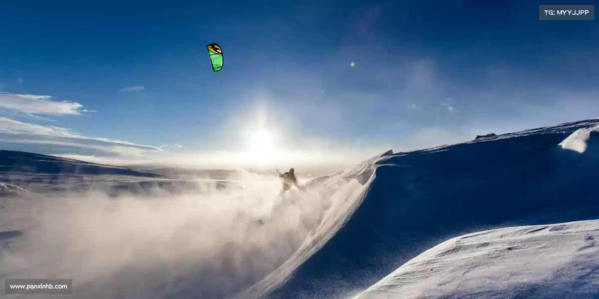 我们的品牌价值